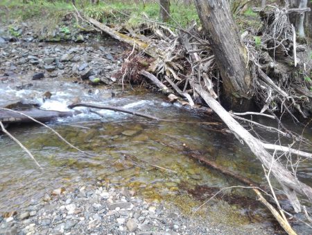 雨の渓流ミノーイング